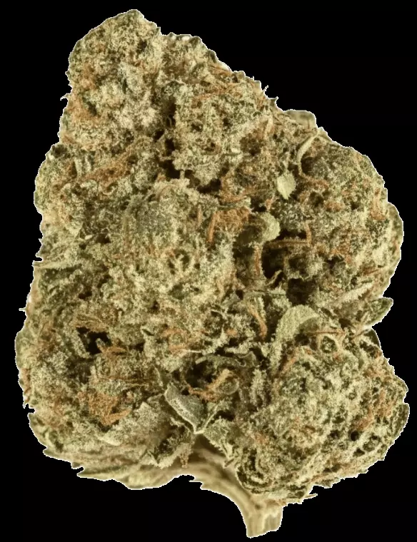 Demecan Core OG 21:01 – OG Kush – Produktbild des Anbieters Dr. Ansay