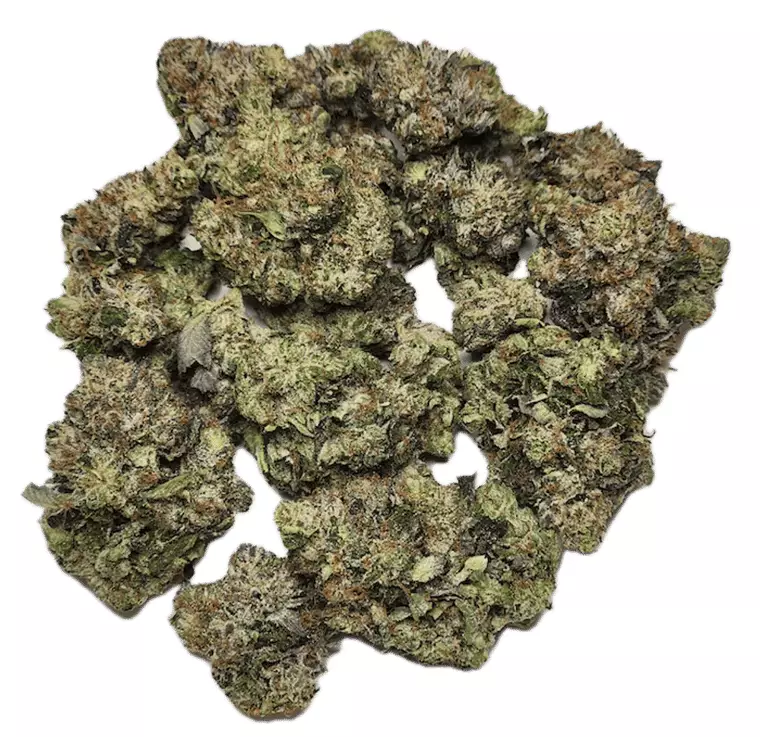 Khiron LBO 24/1 CAN – Lemon Berry OG – Produktbild des Anbieters Dr. Ansay