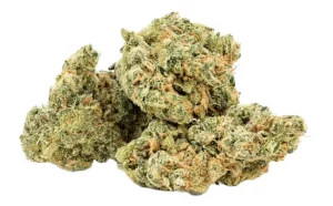Amici 30/1 UL – Ultra Limelight – Produktbild des Anbieters Dr. Ansay