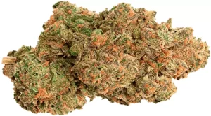 avaay 20/1 PNK – Pineapple Nuken – Produktbild des Anbieters Dr. Ansay