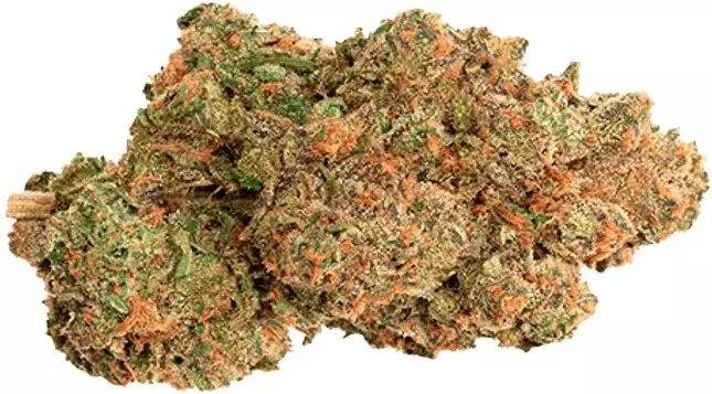 avaay 20/1 PNK – Pineapple Nuken – Produktbild des Anbieters Dr. Ansay