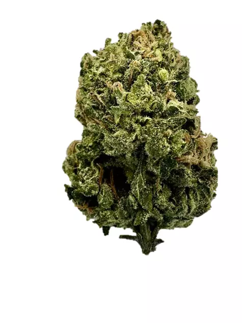 slouu 27/1 SCH CA – Sour Crush Haze – Produktbild des Anbieters Dr. Ansay