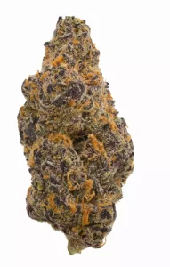 TREATZ FZ 21/1 – Frostiez – Produktbild des Anbieters Dr. Ansay