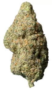 GrowMotion TJ 27/1 – Tricho Jordan – Produktbild des Anbieters Dr. Ansay