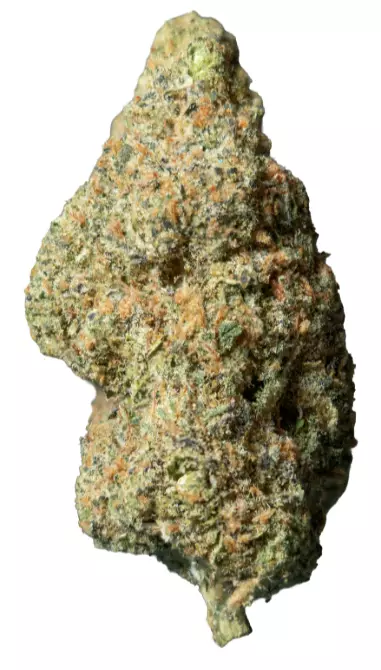 GrowMotion TJ 27/1 – Tricho Jordan – Produktbild des Anbieters Dr. Ansay