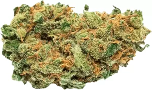 avaay 28/1 AHC – Amnesia Haze Cake – Produktbild des Anbieters Dr. Ansay