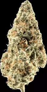 Demecan PS Strong Drop 27/1 – Han Solo Burger x GMO – Produktbild des Anbieters Dr. Ansay
