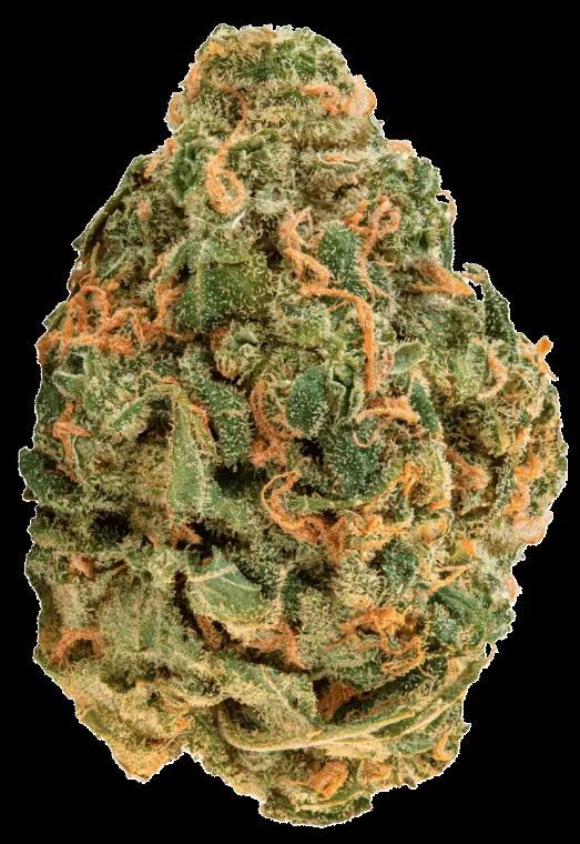 ZOIKS 26/1 LK – OG Lime Kush – Produktbild des Anbieters Dr. Ansay